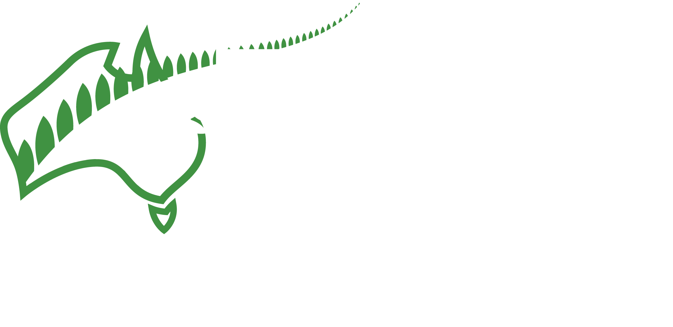 MPS Paving Systems Logo